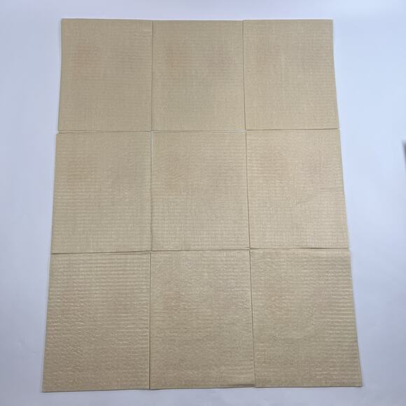 Vintage MCM Atomic Sun Napkins Dinner Barware Set 21 RARE Masslinn Patio Party - Picture 4 of 7